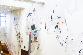 Wall of Birds Studies