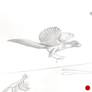 Archaeopteryx