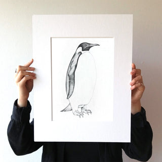 Emperor Penguin