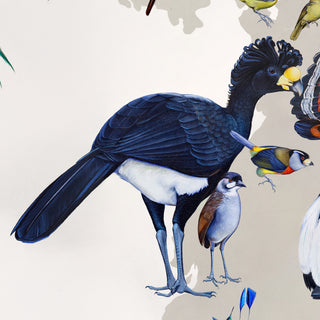 Great Currasow