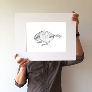Kakapo