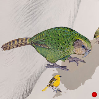 Kakapo