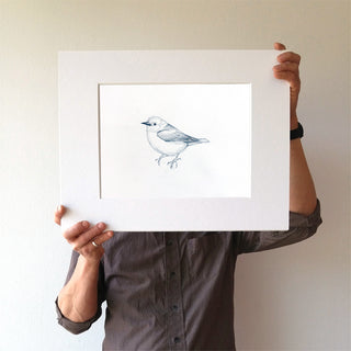 Prothonotary Warbler