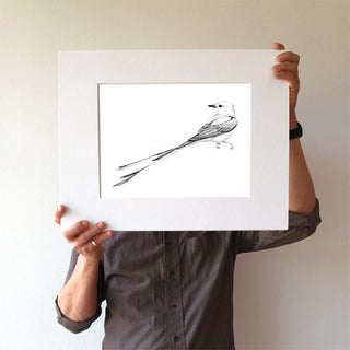 Scissor-tailed Flycatcher