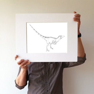 Sinosauropteryx