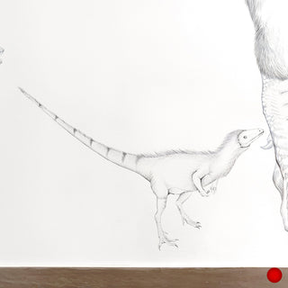 Sinosauropteryx