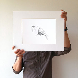 Three-wattled Bellbird